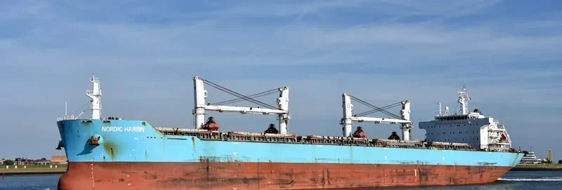 XIN HAI TONG 26 Bulk Carrier IMO 9585338 photo 5