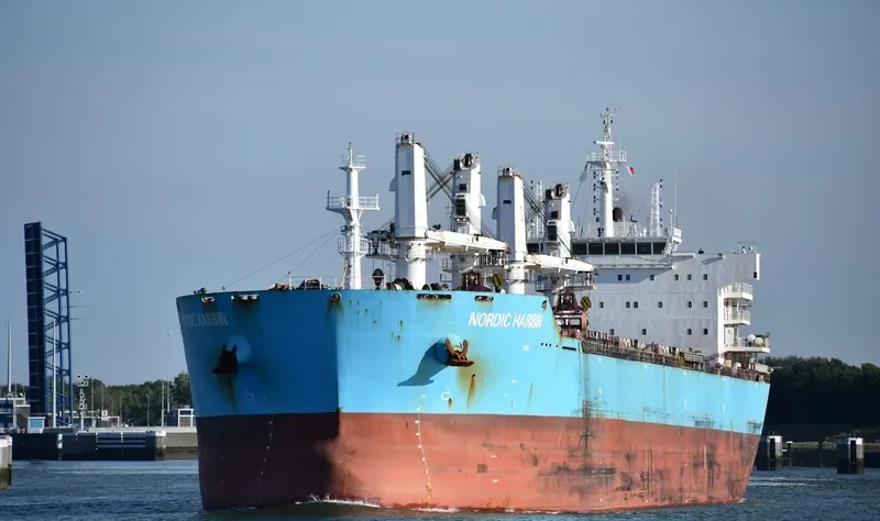 XIN HAI TONG 26 Bulk Carrier IMO 9585338 photo 6
