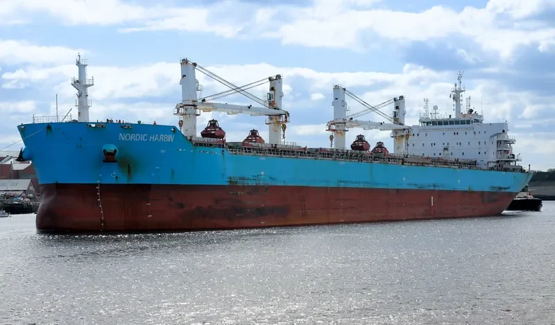 XIN HAI TONG 26 Bulk Carrier IMO 9585338 photo 7