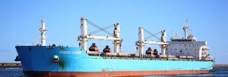 XIN HAI TONG 26 Bulk Carrier IMO 9585338 photo 8