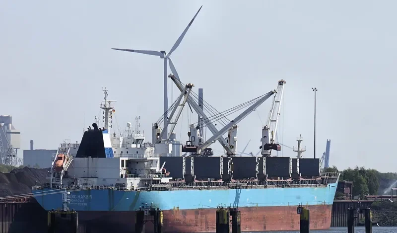XIN HAI TONG 26 Bulk Carrier IMO 9585338 photo 10