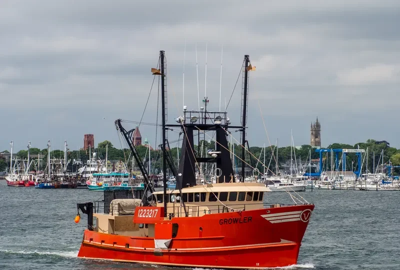 GROWLER General Cargo IMO 9585479