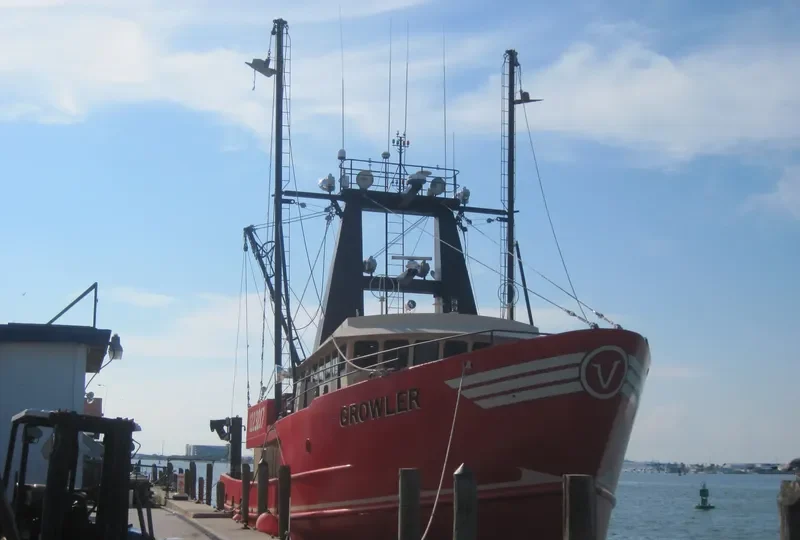 GROWLER General Cargo IMO 9585479 photo 2