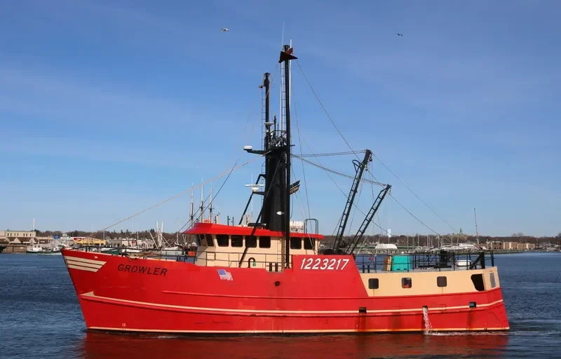 GROWLER General Cargo IMO 9585479 photo 3