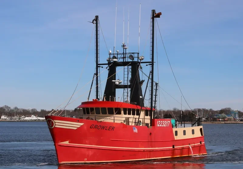 GROWLER General Cargo IMO 9585479 photo 4