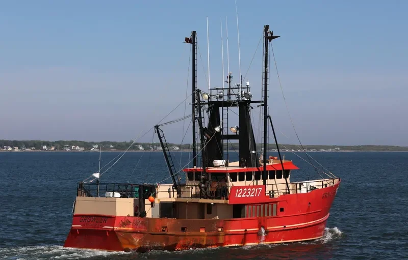 GROWLER General Cargo IMO 9585479 photo 5