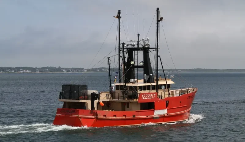 GROWLER General Cargo IMO 9585479 photo 7