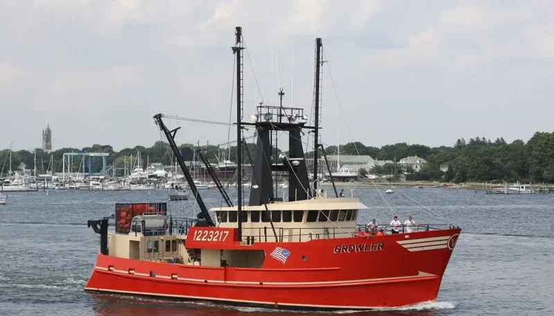 GROWLER General Cargo IMO 9585479 photo 9