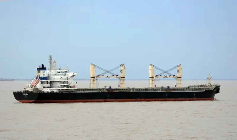 VERUDA Bulk Carrier IMO 9585546