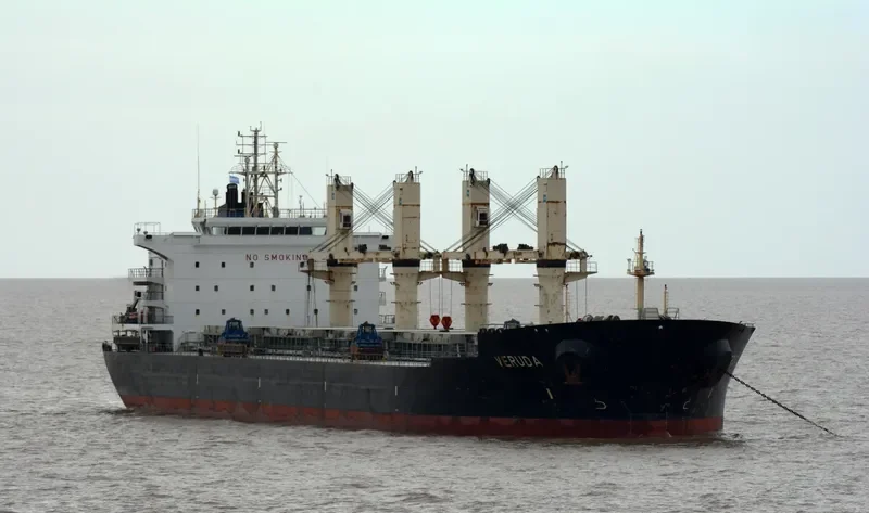 VERUDA Bulk Carrier IMO 9585546 photo 2