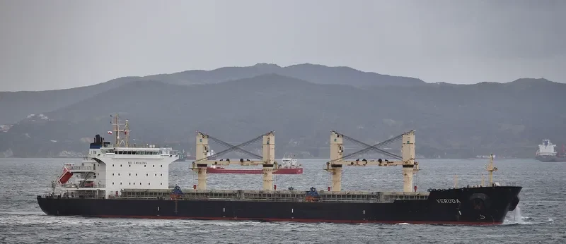 VERUDA Bulk Carrier IMO 9585546 photo 3