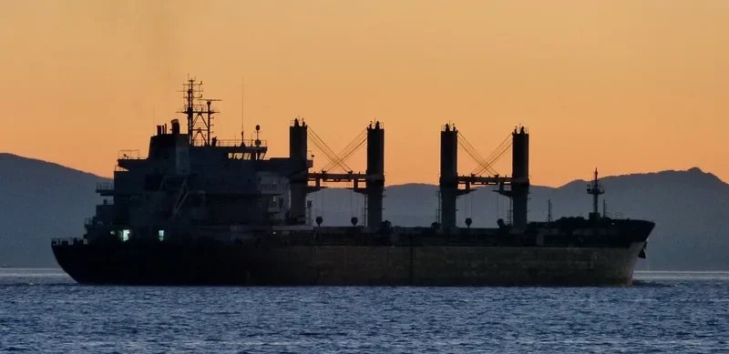 VERUDA Bulk Carrier IMO 9585546 photo 4