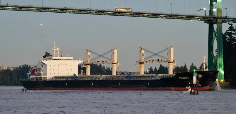 VERUDA Bulk Carrier IMO 9585546 photo 5