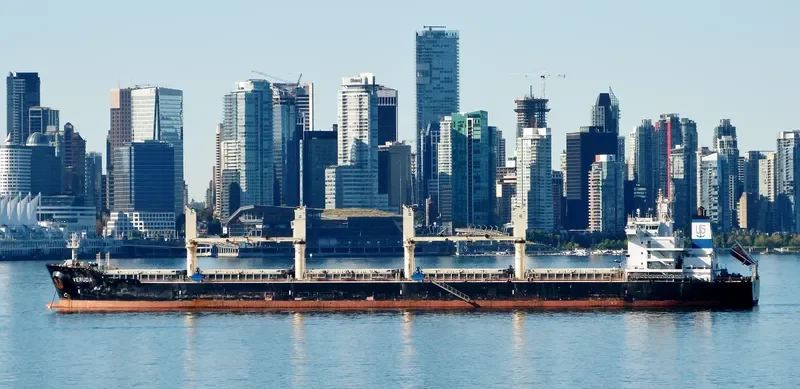 VERUDA Bulk Carrier IMO 9585546 photo 6