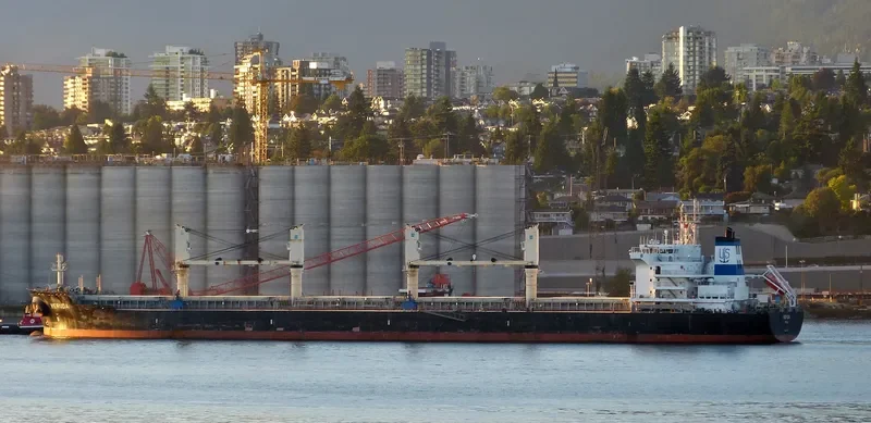 VERUDA Bulk Carrier IMO 9585546 photo 7