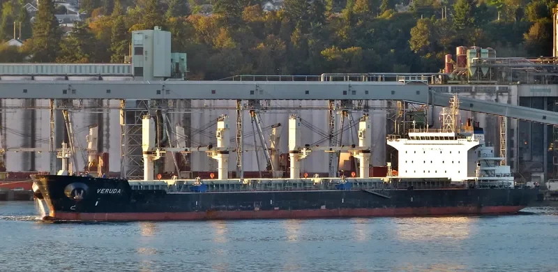 VERUDA Bulk Carrier IMO 9585546 photo 8