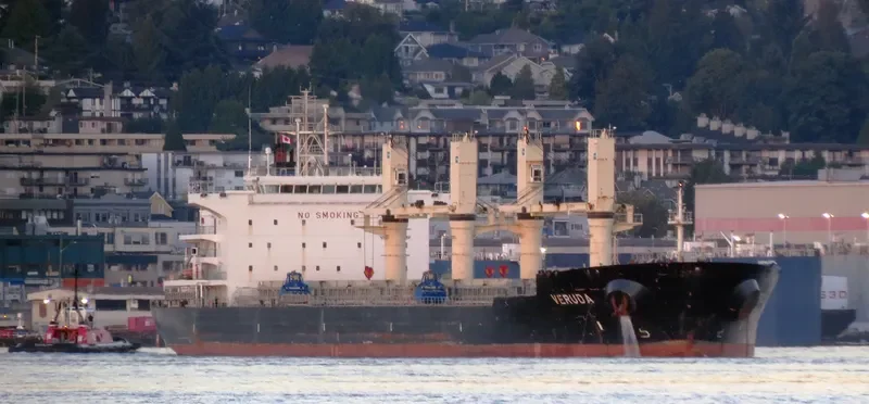 VERUDA Bulk Carrier IMO 9585546 photo 9