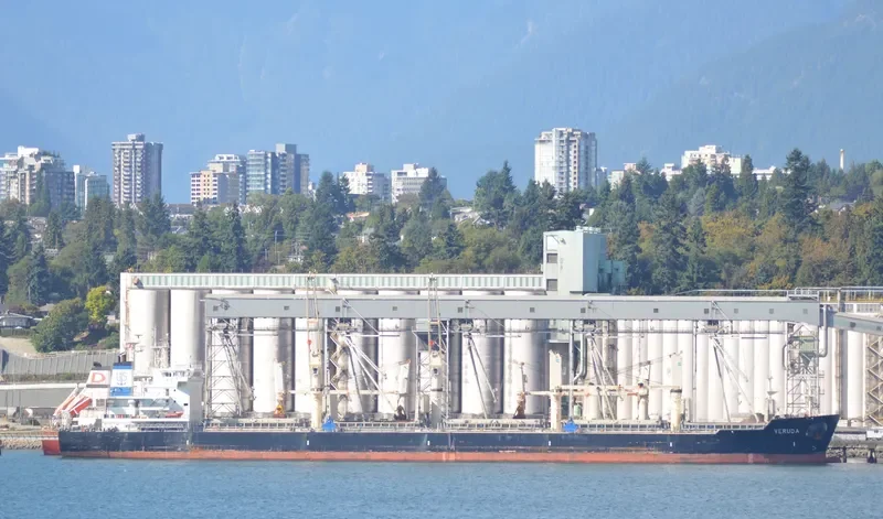 VERUDA Bulk Carrier IMO 9585546 photo 10