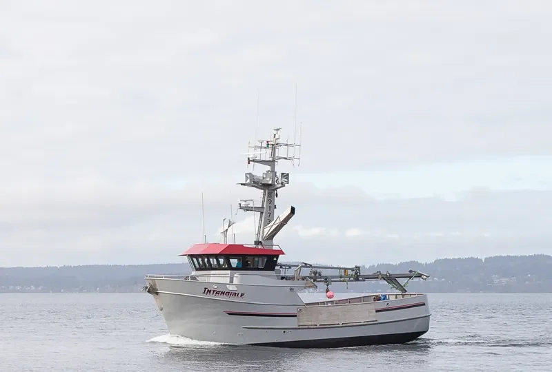 INTANGIBLE General Cargo IMO 9585560