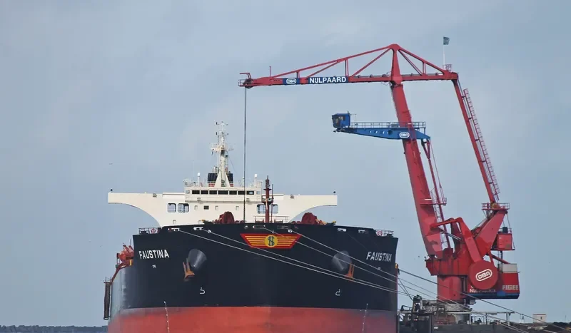 SEAMATE Bulk Carrier IMO 9585572 photo 3
