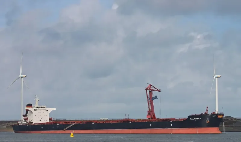 SEAMATE Bulk Carrier IMO 9585572 photo 4