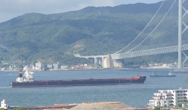 SEAMATE Bulk Carrier IMO 9585572 photo 5