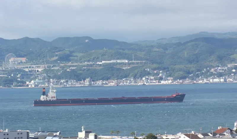 SEAMATE Bulk Carrier IMO 9585572 photo 6