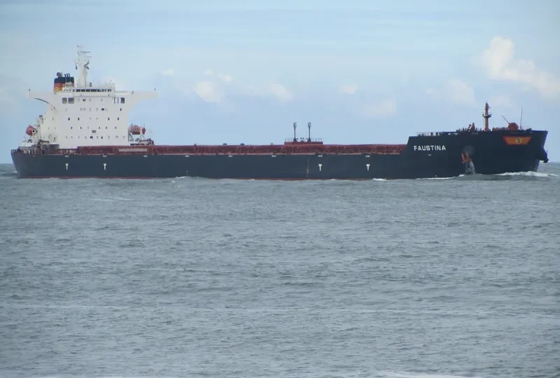 SEAMATE Bulk Carrier IMO 9585572 photo 7