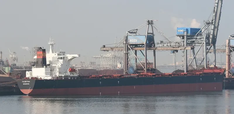 SEAMATE Bulk Carrier IMO 9585572 photo 8