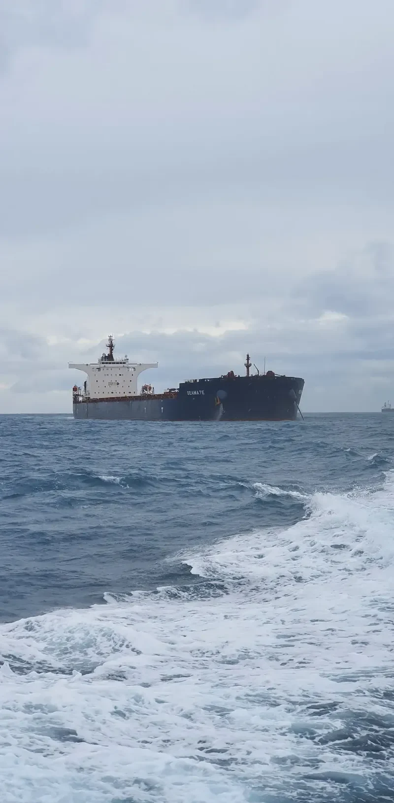 SEAMATE Bulk Carrier IMO 9585572 photo 9