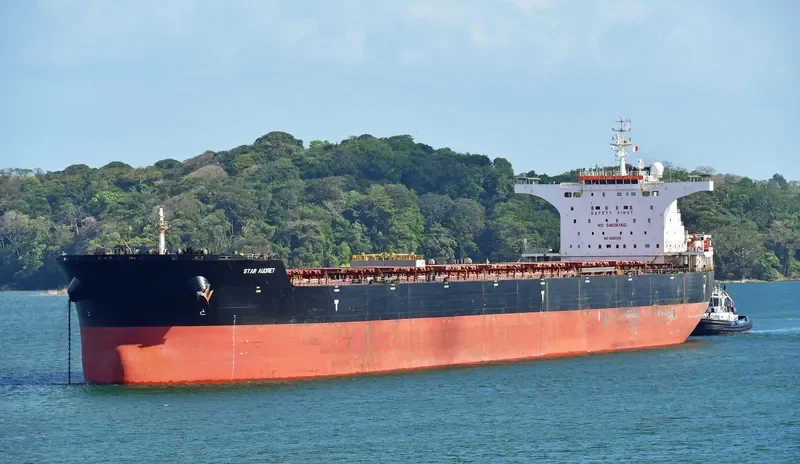 STAR AUDREY Bulk Carrier IMO 9585596