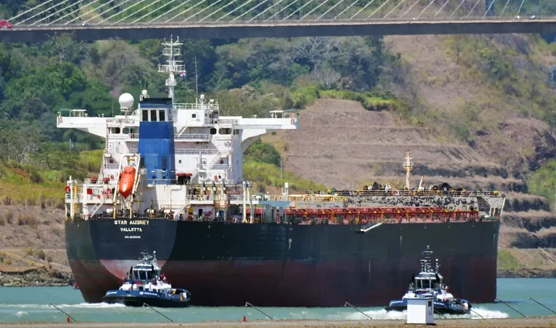 STAR AUDREY Bulk Carrier IMO 9585596 photo 3
