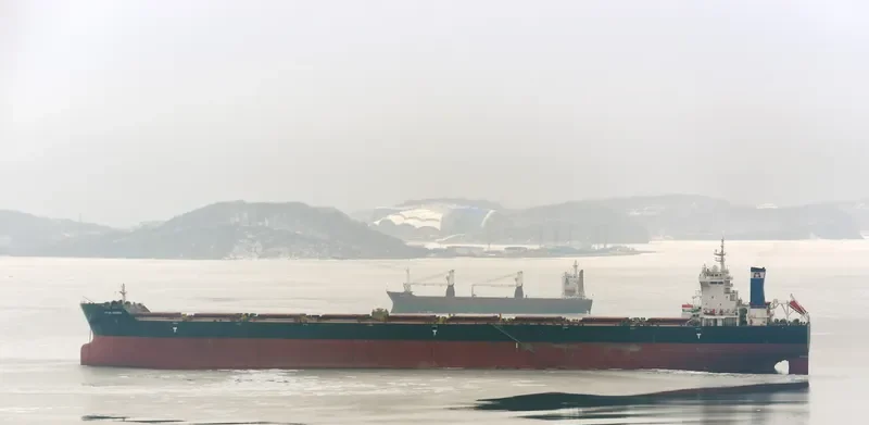 STAR AUDREY Bulk Carrier IMO 9585596 photo 5