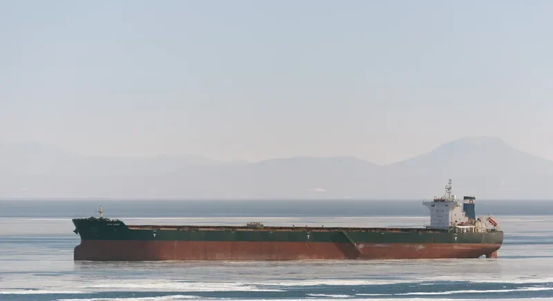 STAR AUDREY Bulk Carrier IMO 9585596 photo 6