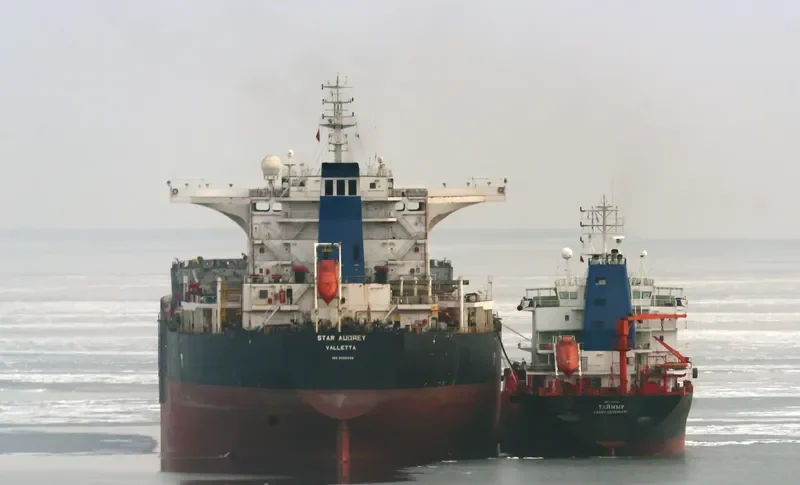 STAR AUDREY Bulk Carrier IMO 9585596 photo 7