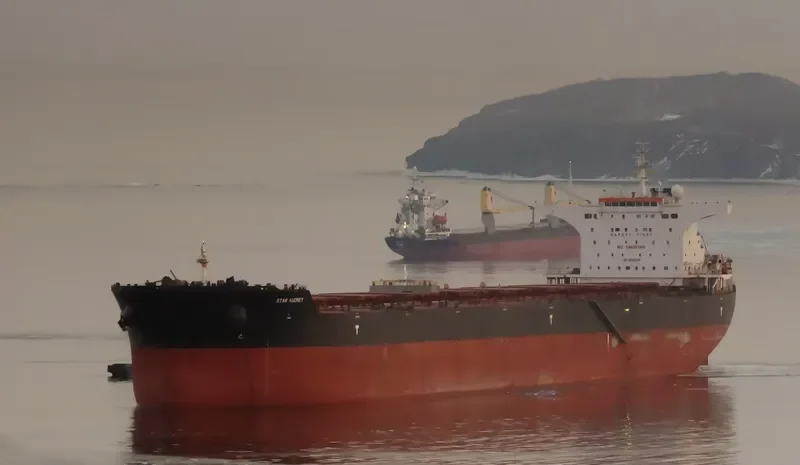 STAR AUDREY Bulk Carrier IMO 9585596 photo 8