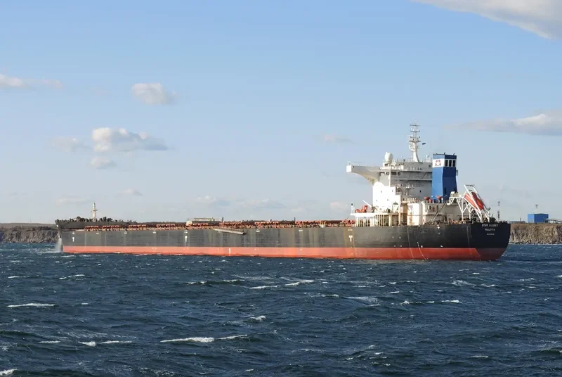 STAR AUDREY Bulk Carrier IMO 9585596 photo 9