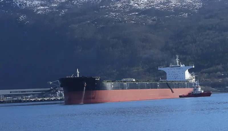 DELOS Bulk Carrier IMO 9585601 photo 3