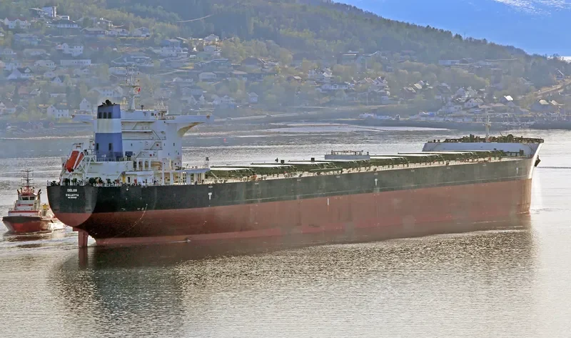 DELOS Bulk Carrier IMO 9585601 photo 4
