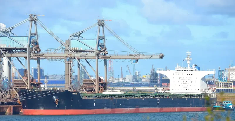 DELOS Bulk Carrier IMO 9585601 photo 5