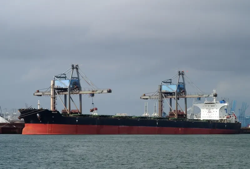 DELOS Bulk Carrier IMO 9585601 photo 6