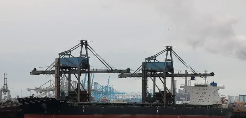 DELOS Bulk Carrier IMO 9585601 photo 7