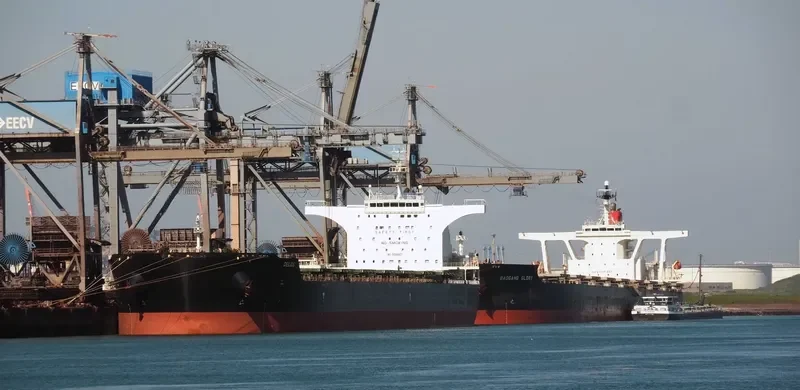 DELOS Bulk Carrier IMO 9585601 photo 8