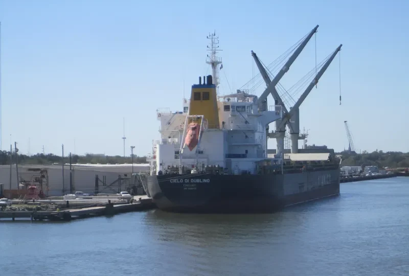 CIELO DI DUBLINO Bulk Carrier IMO 9585651