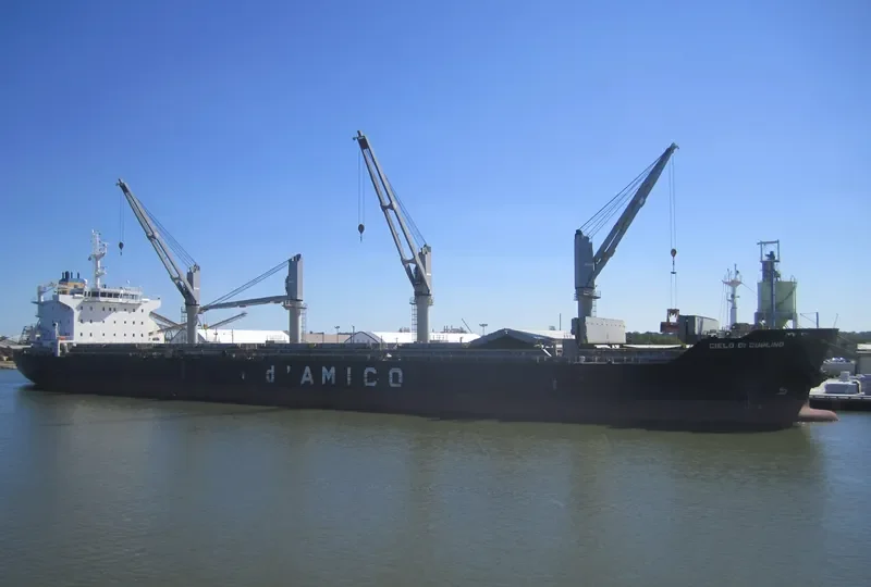 CIELO DI DUBLINO Bulk Carrier IMO 9585651 photo 2
