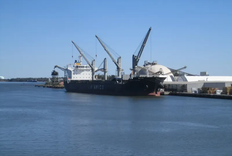 CIELO DI DUBLINO Bulk Carrier IMO 9585651 photo 3