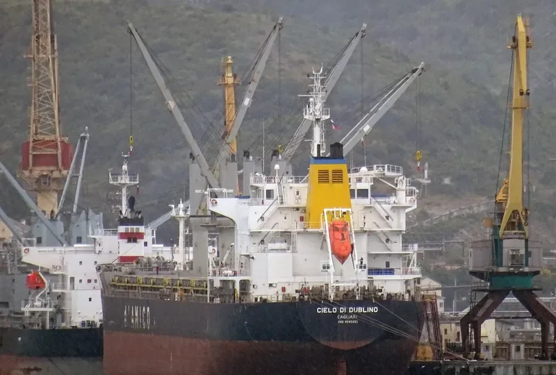 CIELO DI DUBLINO Bulk Carrier IMO 9585651 photo 4
