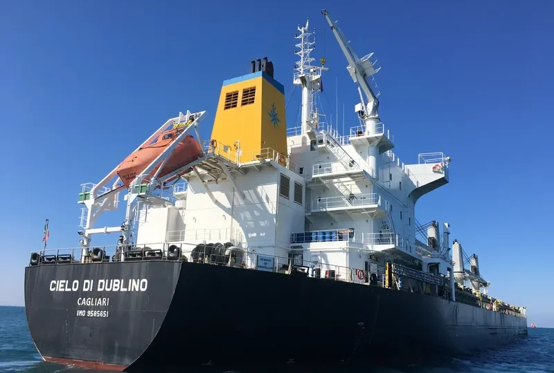 CIELO DI DUBLINO Bulk Carrier IMO 9585651 photo 5