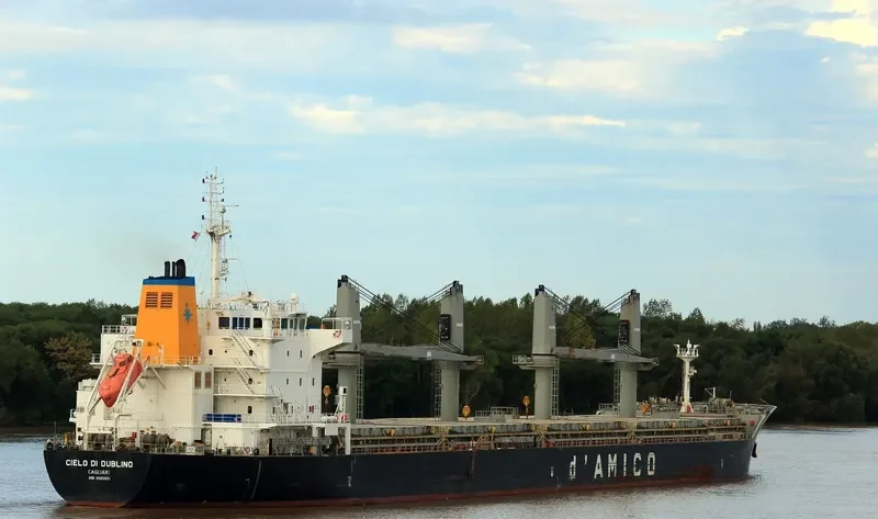 CIELO DI DUBLINO Bulk Carrier IMO 9585651 photo 6