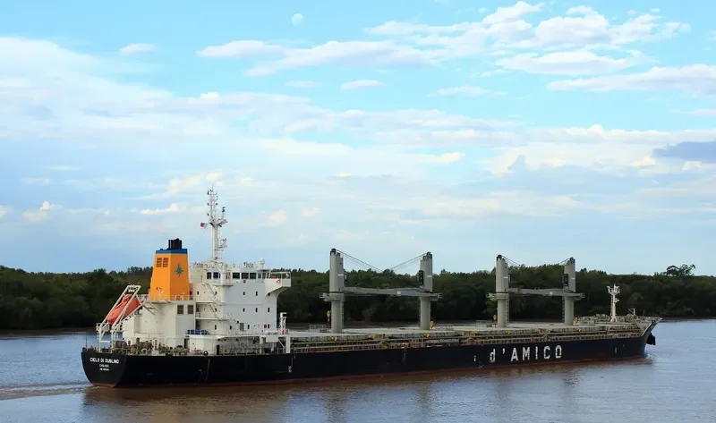CIELO DI DUBLINO Bulk Carrier IMO 9585651 photo 7